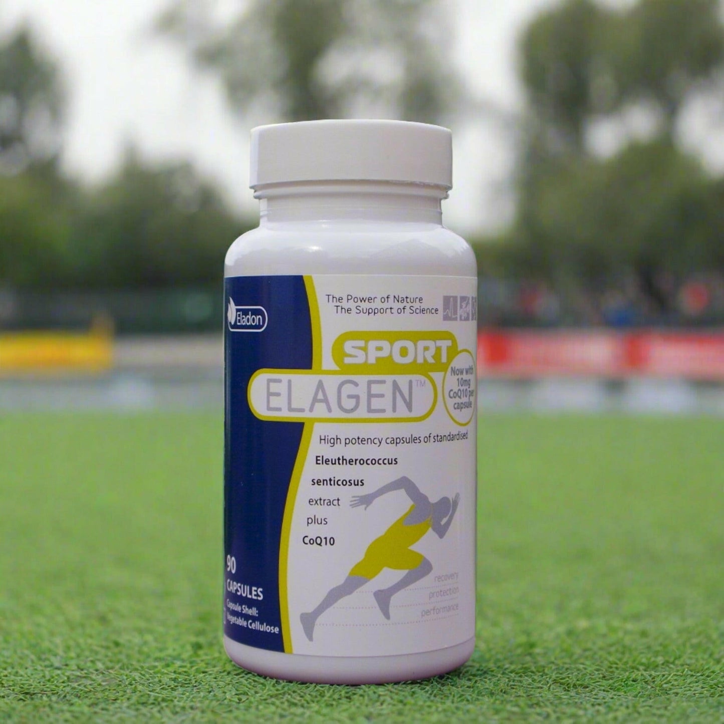Eladon's Elagen Sport | Natural Sport Supplement | Eleuthero | CoQ10 | Siberian Ginseng | Coenzyme Q10 | Endurance | Energy | Peak performance | Immune health |Immune support | Natural supplement