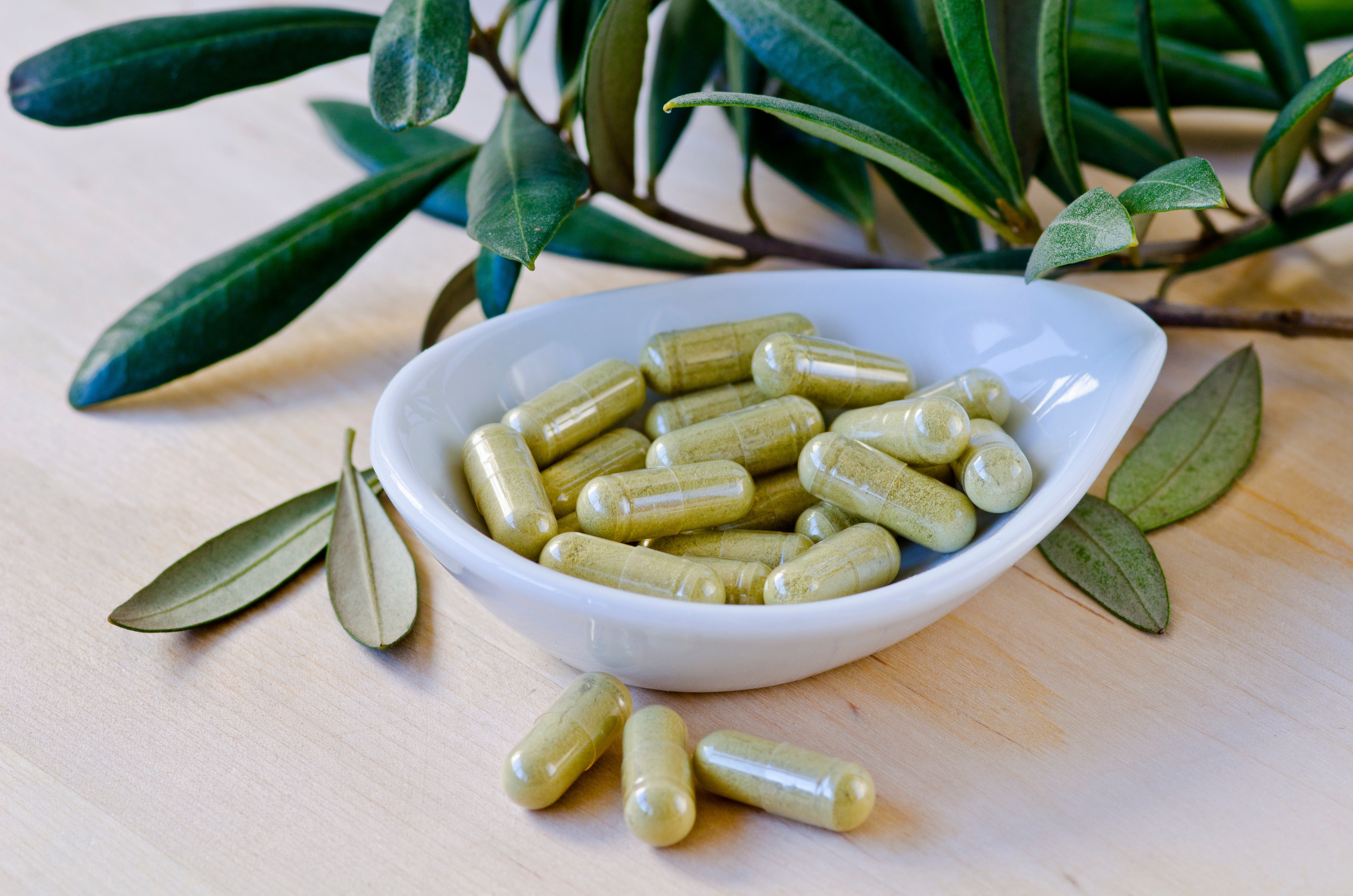 Unlocking the Power of Olive Leaf Extract: Health Benefits You Need to Know