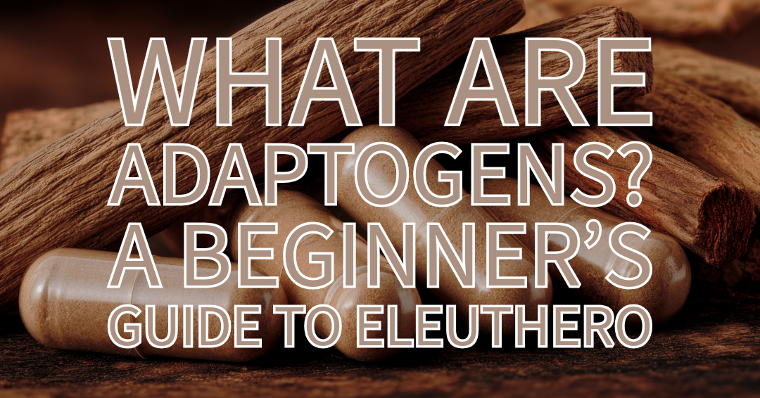 What Are Adaptogens? A Beginner’s Guide to Eleuthero (Siberian Ginseng)