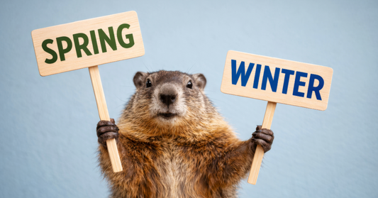 Mid-February Momentum: The Early Signs of Spring (and a Simple Way to Support Your Routine)