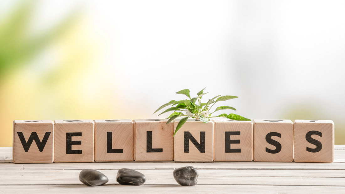 Simple Daily Habits to Support Balance, Energy & Wellbeing