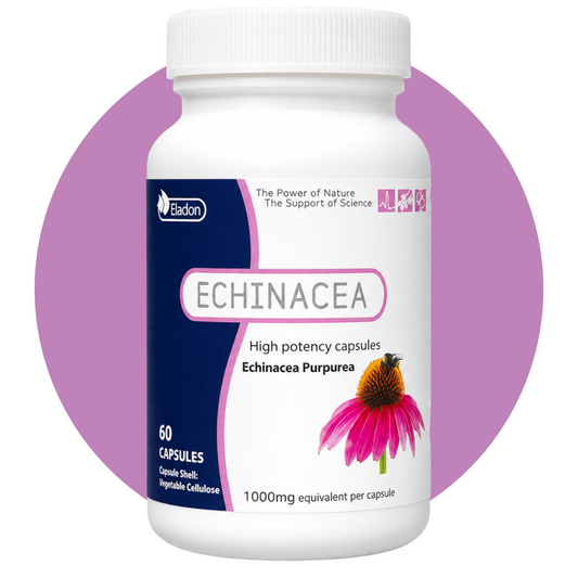 Echinacea